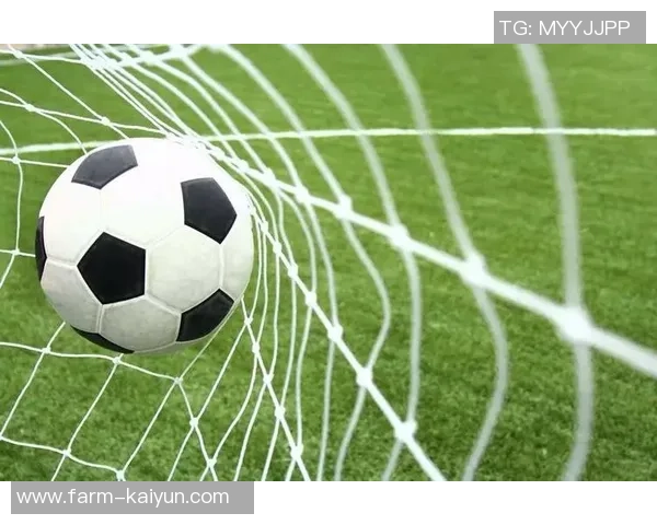 探索Nike4号足球的卓越性能与设计理念，提升你的球场表现与竞技水平